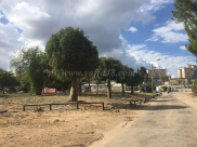 لجنة التخطيط والبناء تنشر الخارطة الهيكلية للحي السكني الجديد قرب حي النزهة بيافا